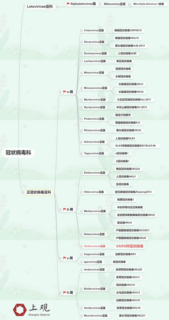 新冠病毒是不是sars呢？了解下冠状病毒分类